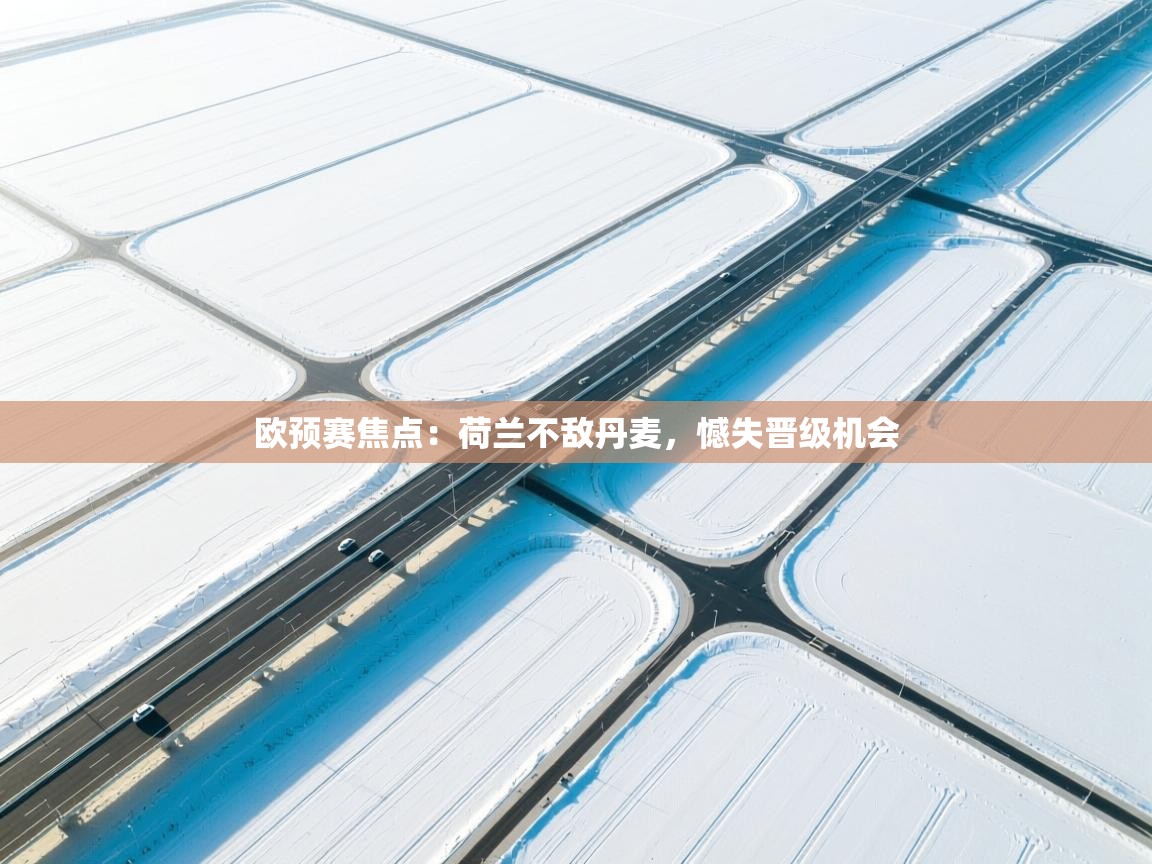 欧预赛焦点：荷兰不敌丹麦，憾失晋级机会  第1张