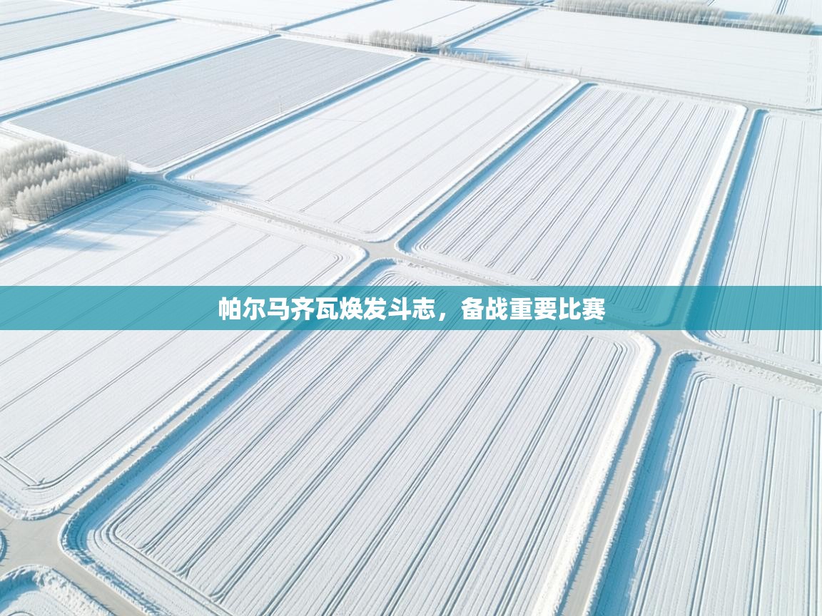 帕尔马齐瓦焕发斗志,备战重要比赛 第1张