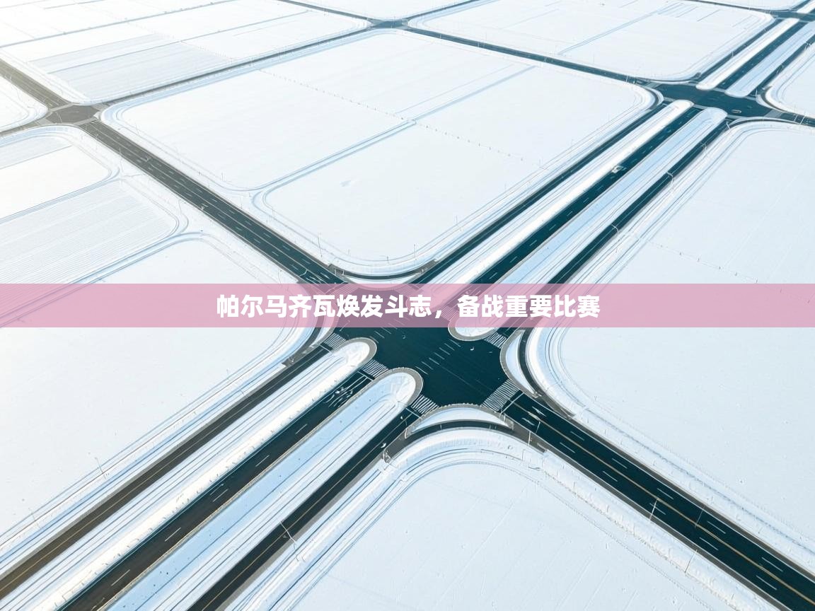 帕尔马齐瓦焕发斗志,备战重要比赛 第2张