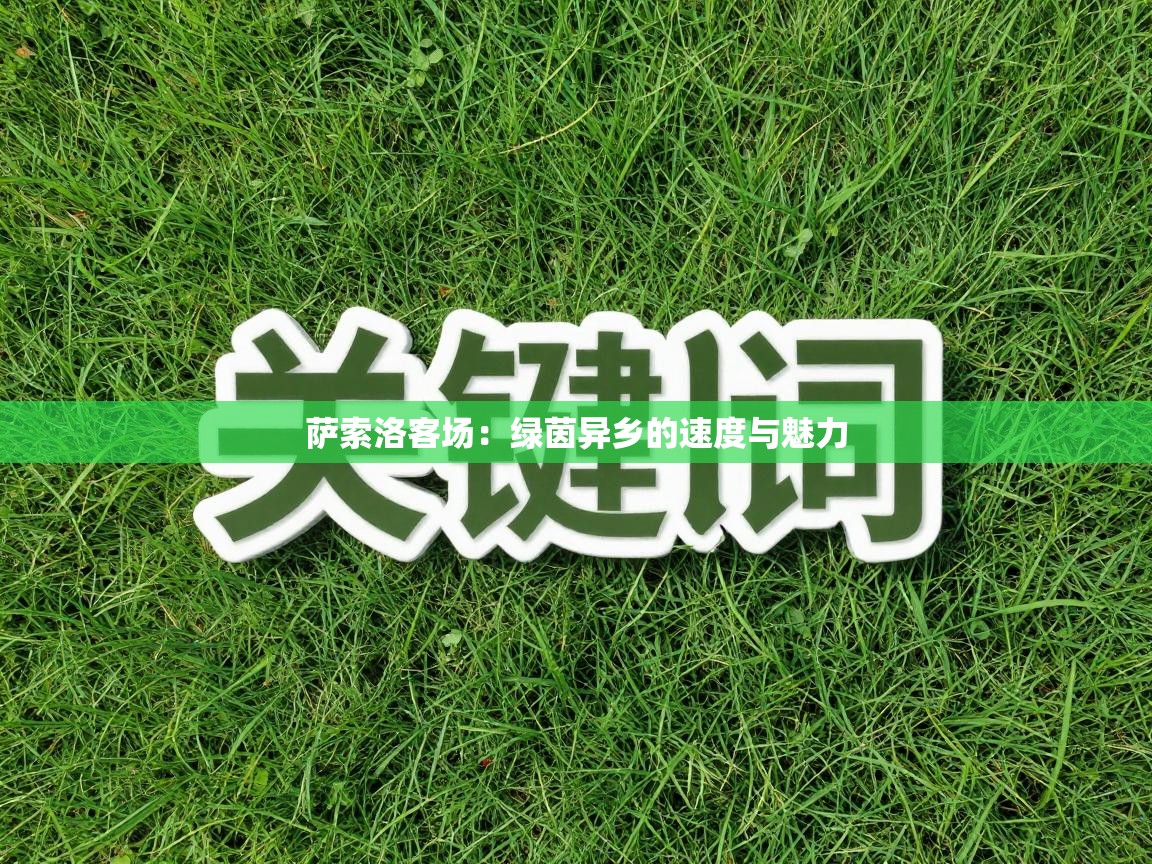 萨索洛客场：绿茵异乡的速度与魅力  第1张