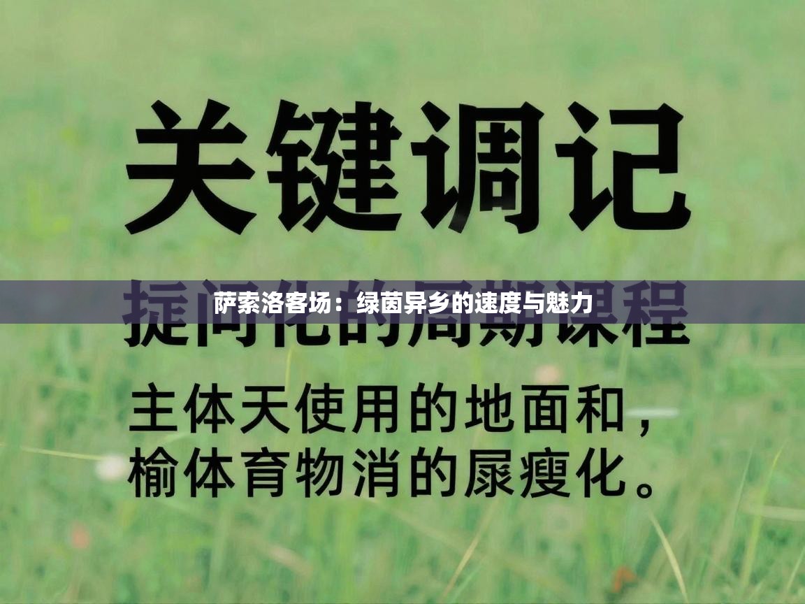 萨索洛客场：绿茵异乡的速度与魅力  第2张