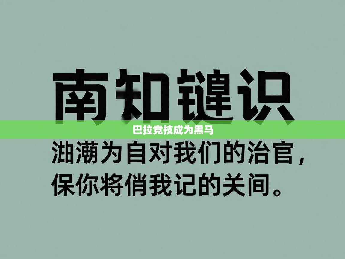 巴拉竞技成为黑马  第1张