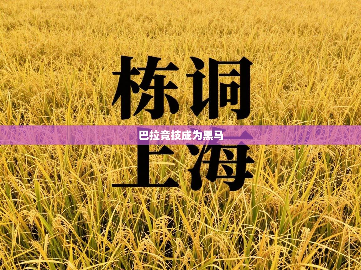 巴拉竞技成为黑马  第2张