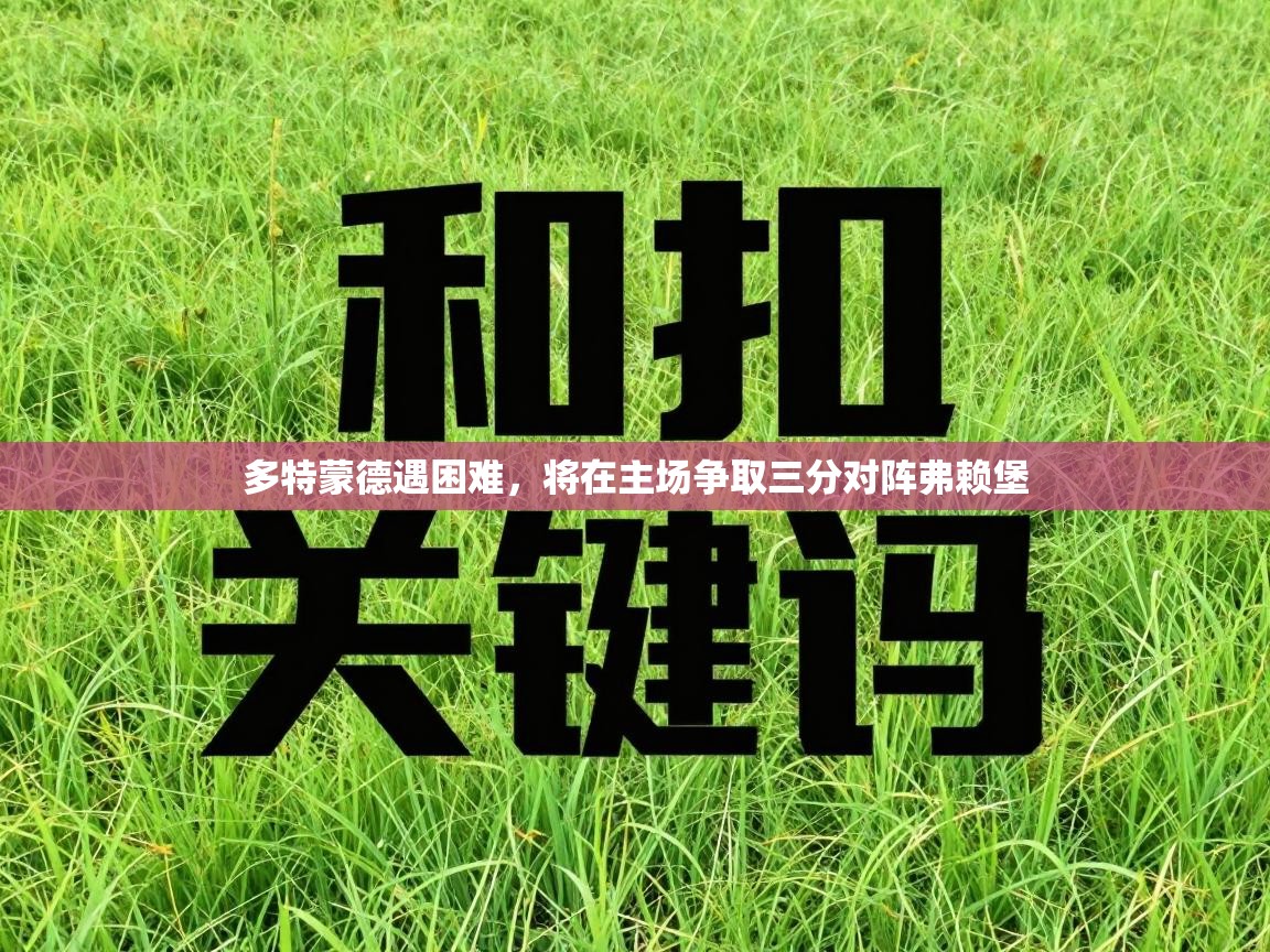 多特蒙德遇困难，将在主场争取三分对阵弗赖堡  第1张